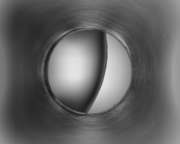 X0000089370995200706150839