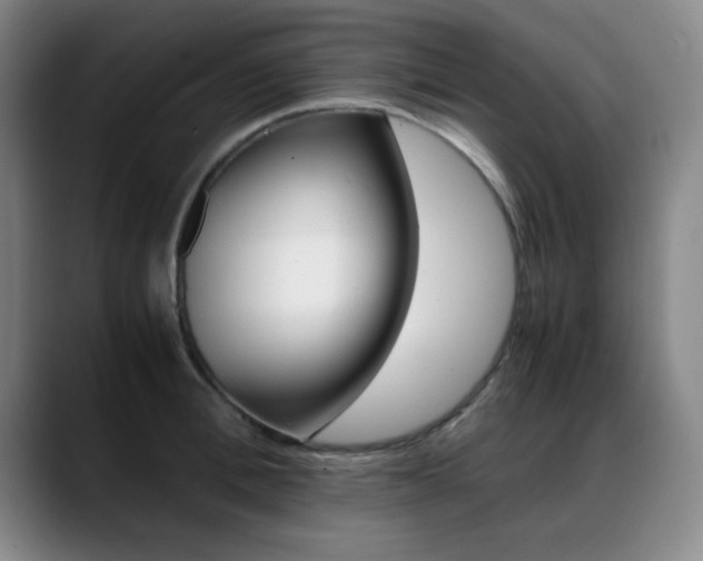 X0000089370996200706150839