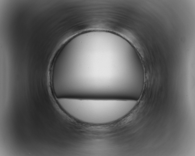 X0000089370998200706150839