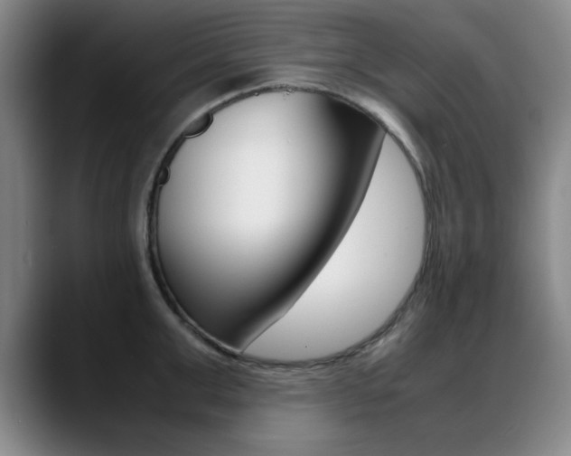 X0000089370999200706150839