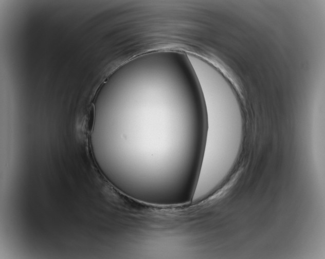 X0000089371001200706150839