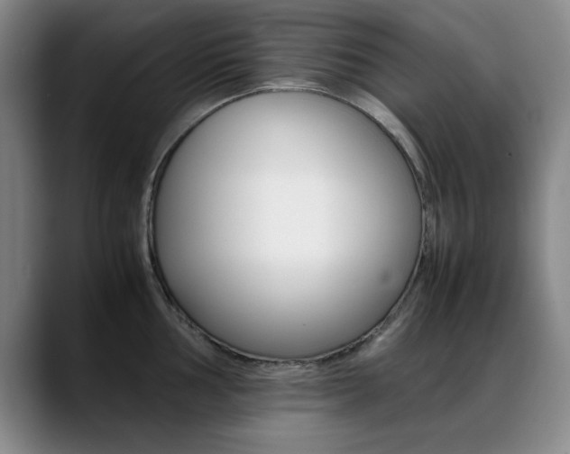 X0000089371002200706150839