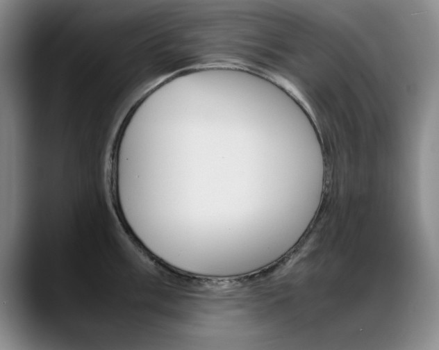 X0000089371003200706150839