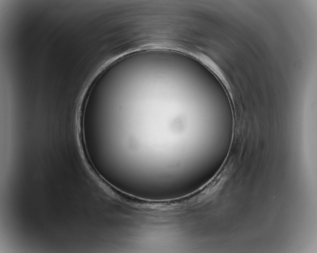X0000089371005200706150839