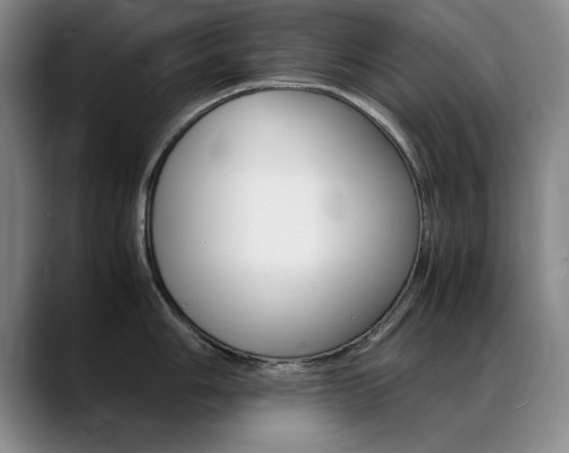 X0000089371006200706150839