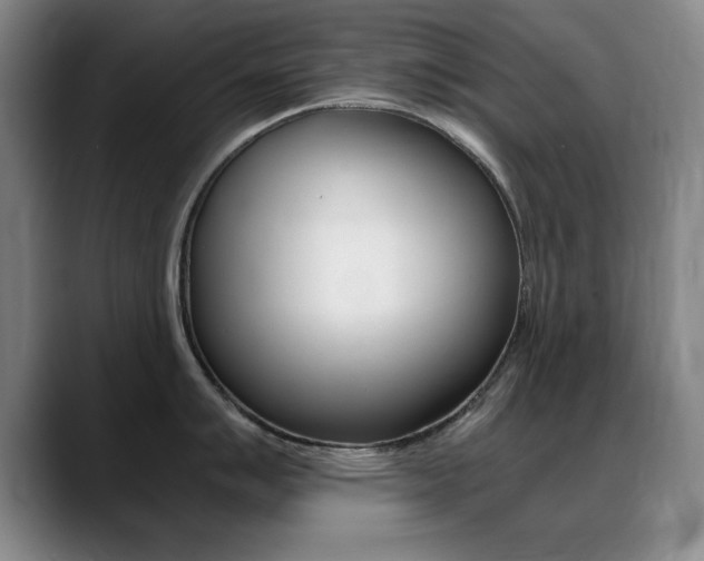 X0000089371007200706150839