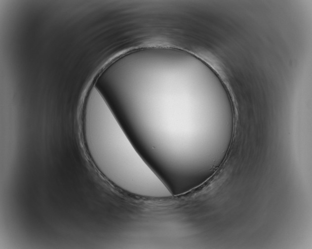 X0000089371008200706150839