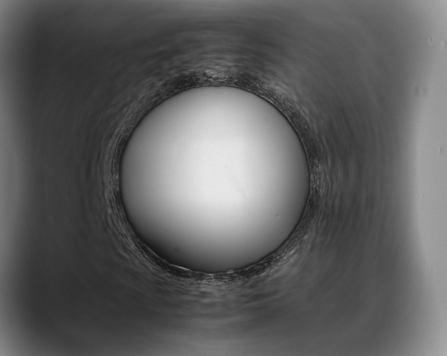 X0000089371009200706150839