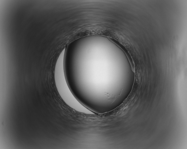 X0000089371010200706150839