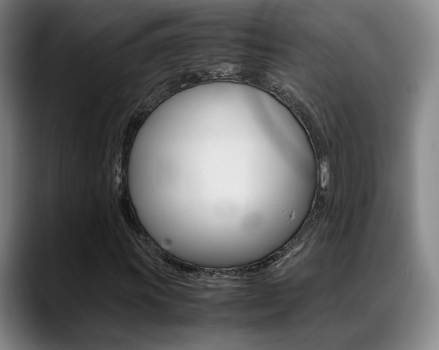 X0000089371011200706150839