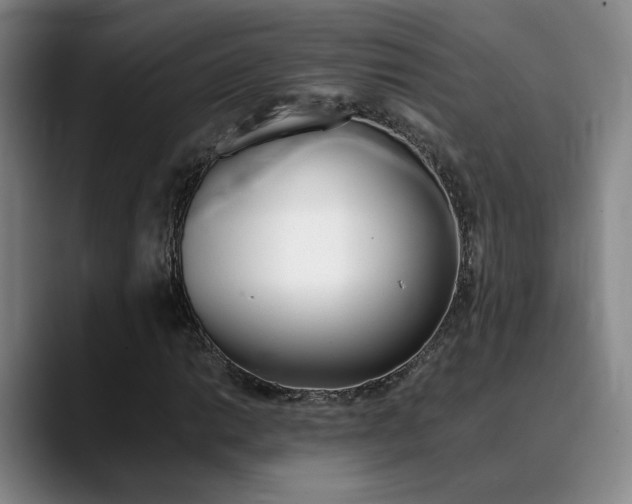 X0000089371014200706150839