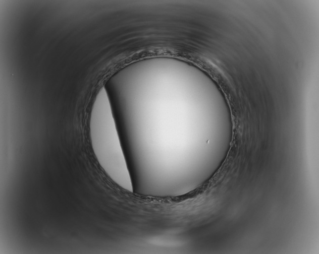 X0000089371015200706150839