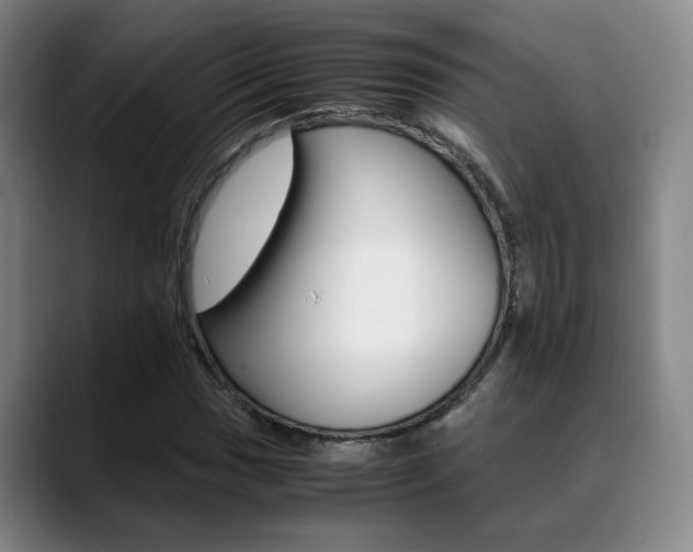X0000089371017200706150839