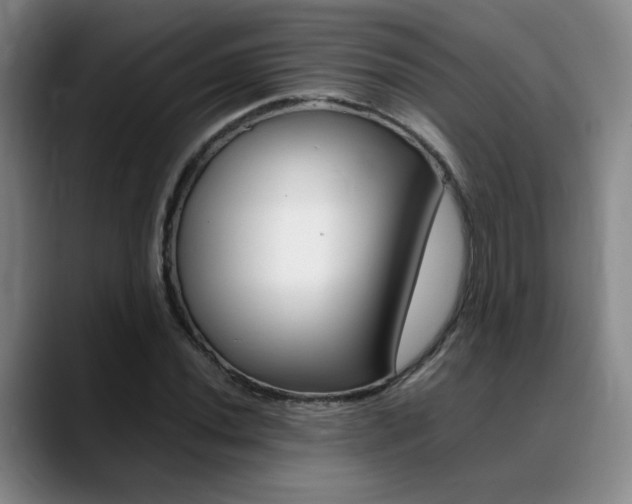 X0000089371020200706150839