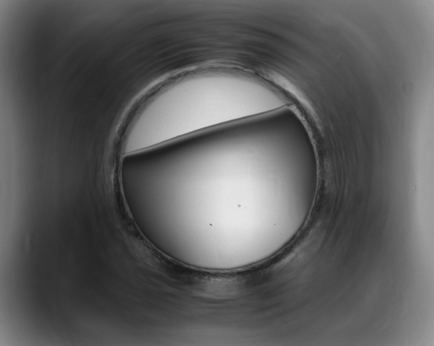 X0000089371021200706150839