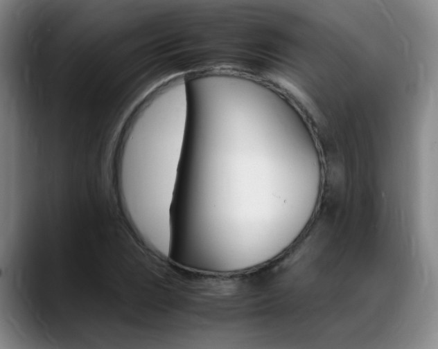 X0000089371023200706150839