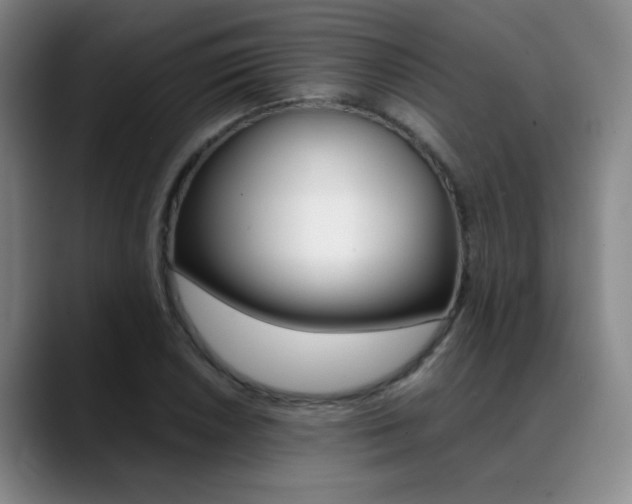 X0000089371026200706150839