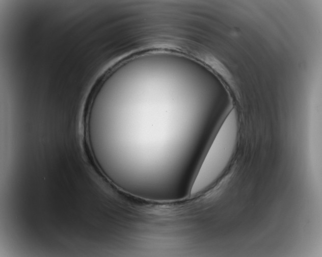 X0000089371028200706150839