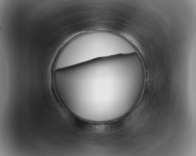 X0000089371031200706150839