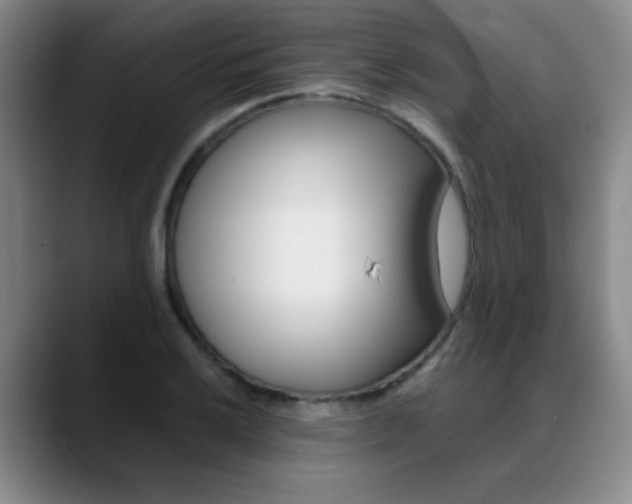 X0000089371032200706150839
