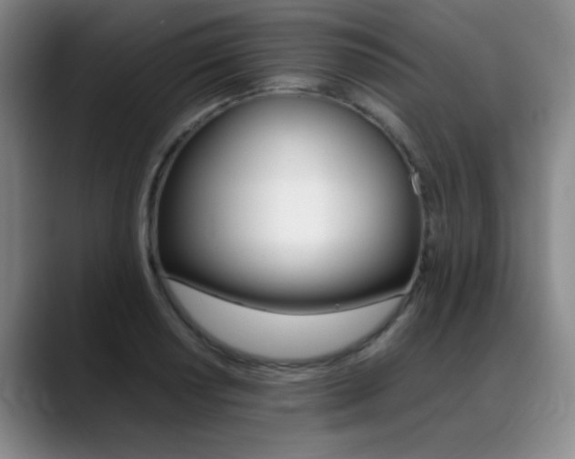 X0000089371034200706150839