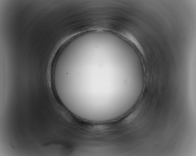 X0000089371035200706150839