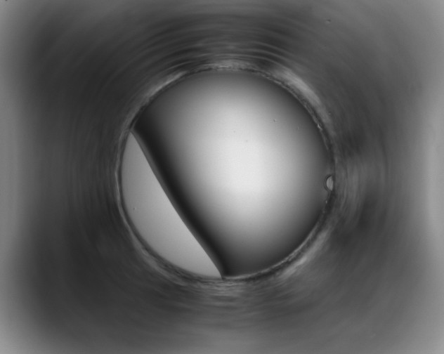 X0000089371041200706150839