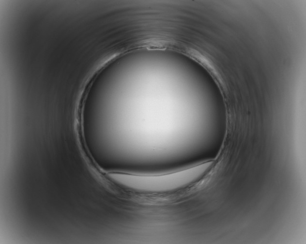 X0000089371042200706150839