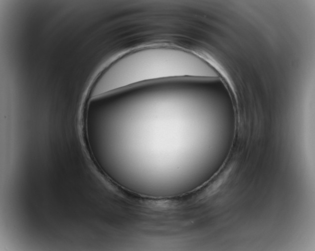 X0000089371045200706150839