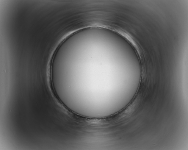 X0000089371048200706150839