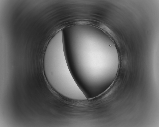 X0000089371049200706150839