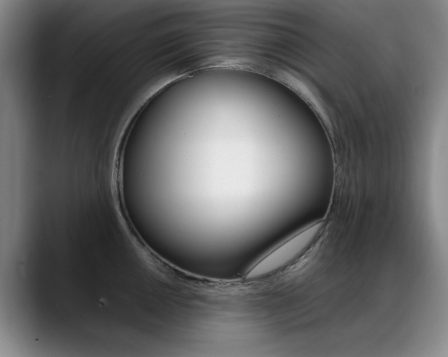 X0000089371050200706150839
