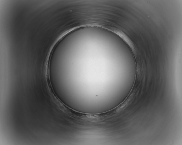 X0000089371052200706150839