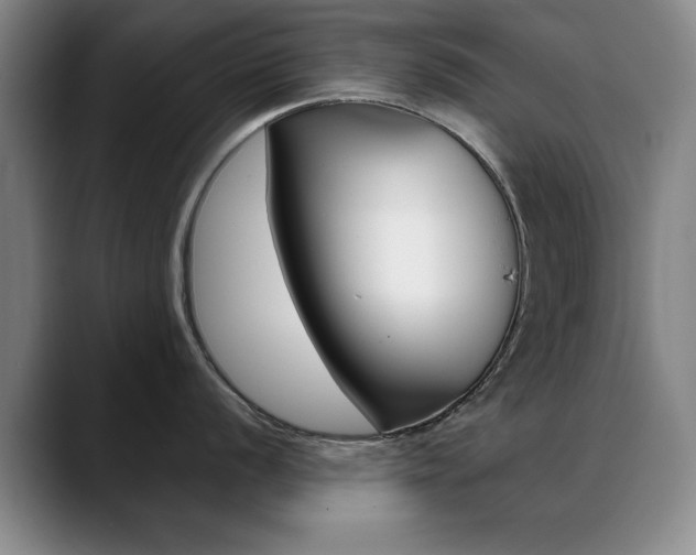 X0000089371056200706150839