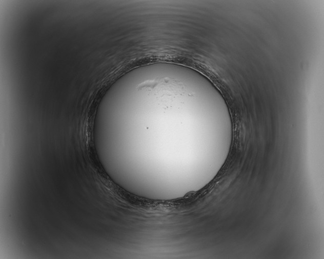 X0000089371058200706150839