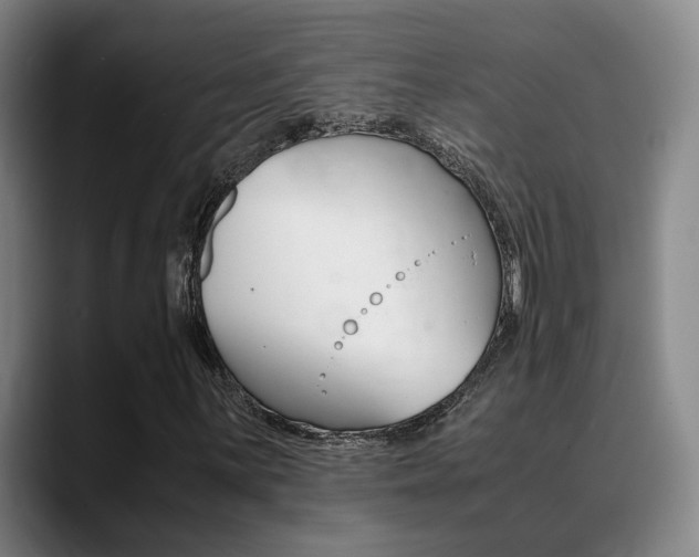 X0000089371059200706150839
