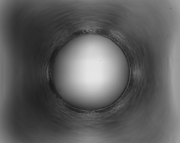 X0000089371060200706150839