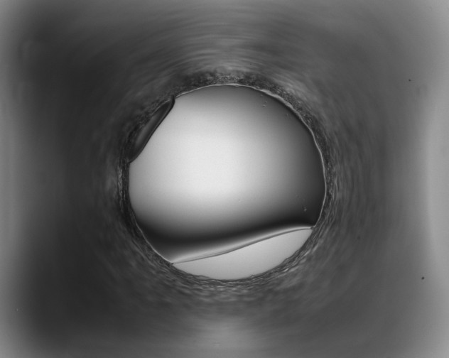 X0000089371061200706150839