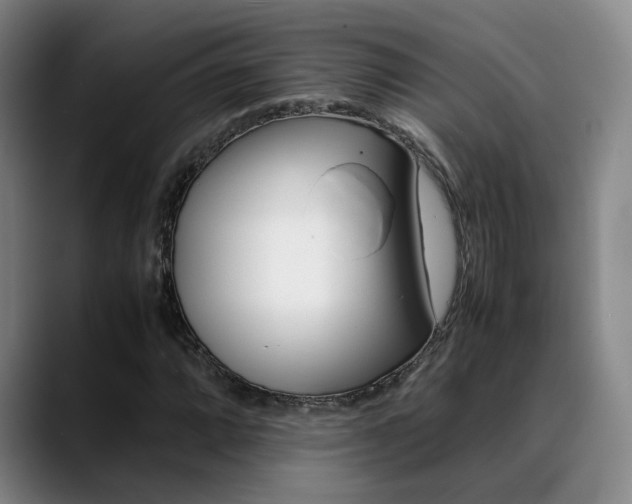 X0000089371064200706150839