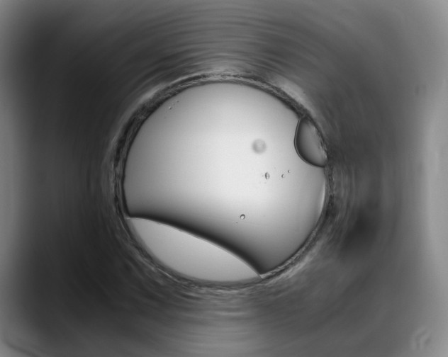X0000089371067200706150838