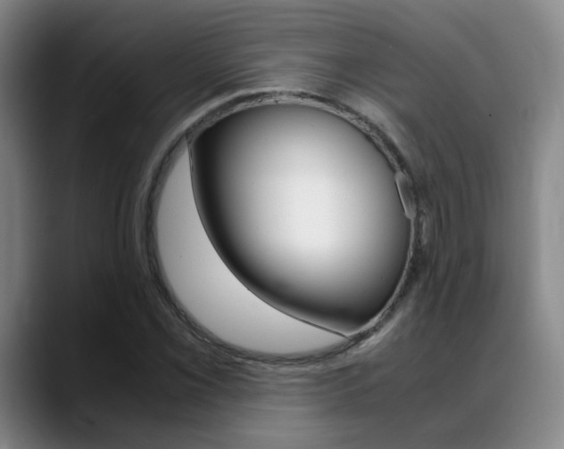 X0000089371069200706150838