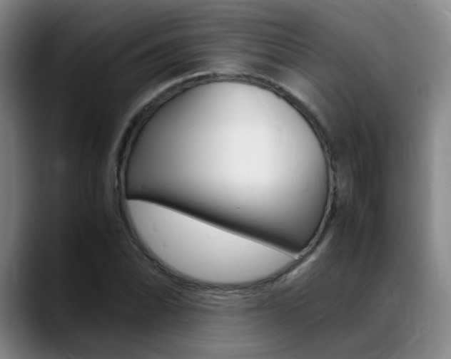 X0000089371070200706150838