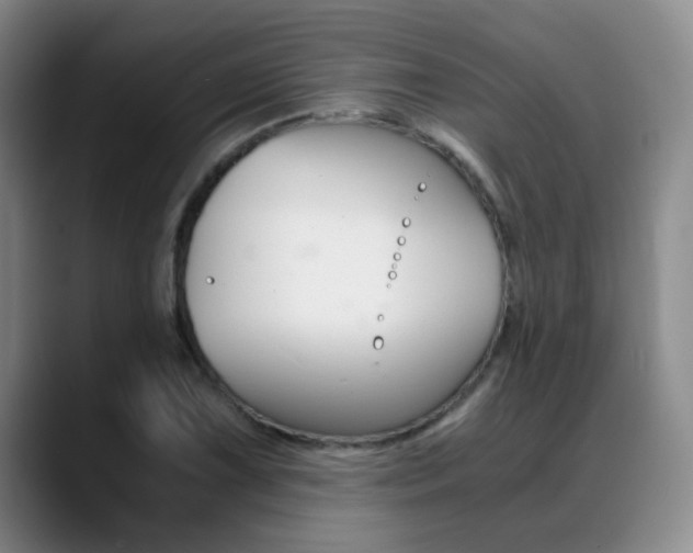 X0000089371075200706150838