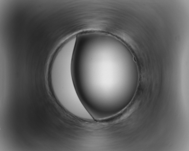 X0000089371077200706150838