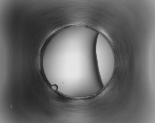 X0000089371079200706150838