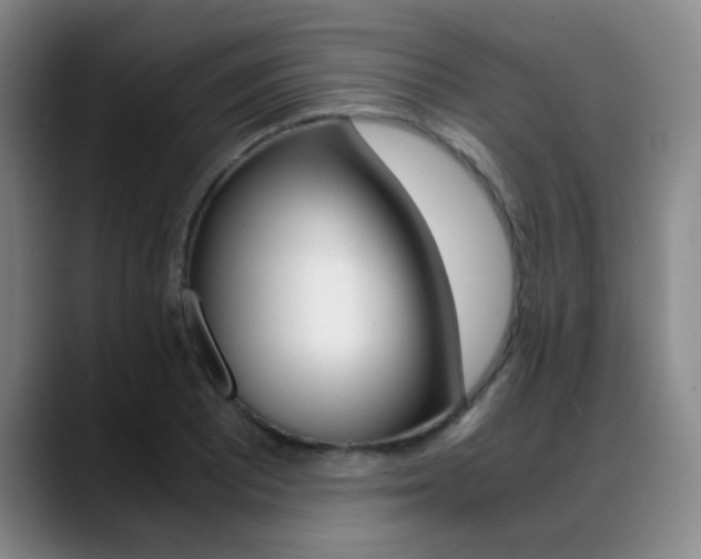 X0000089371081200706150838