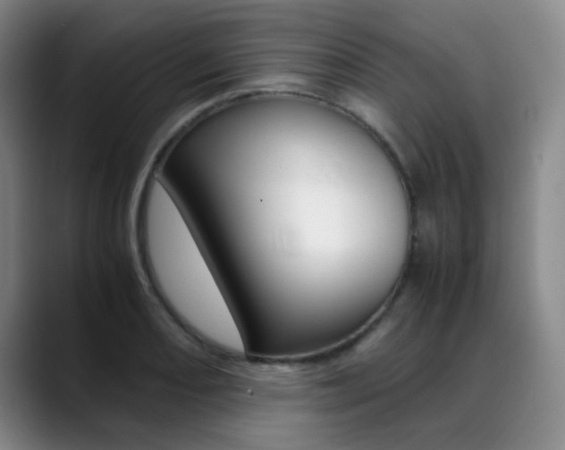 X0000089371082200706150838
