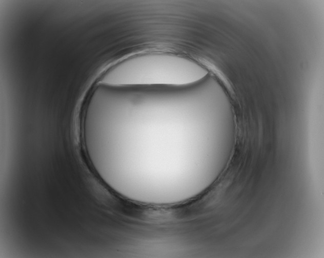 X0000089371083200706150838