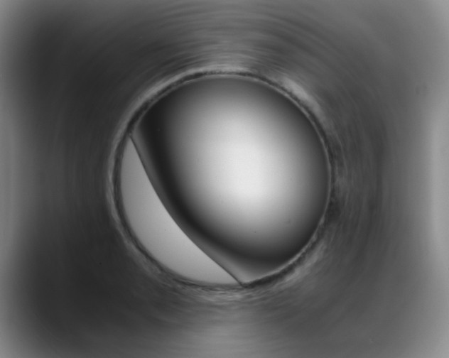 X0000089371085200706150838