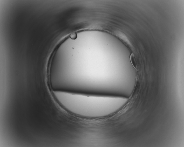 X0000089371087200706150838